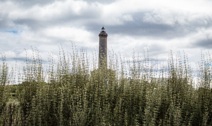 Phare de l'île de Batz - CANON EOS 1300D