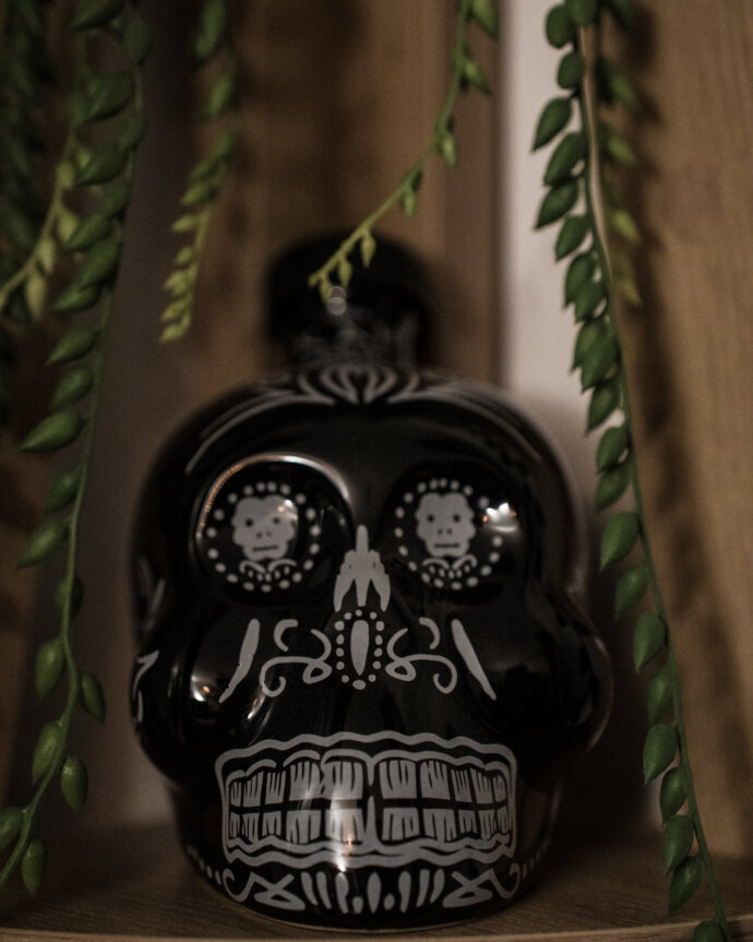 Crâne Mexicain - SONY A7 IV
